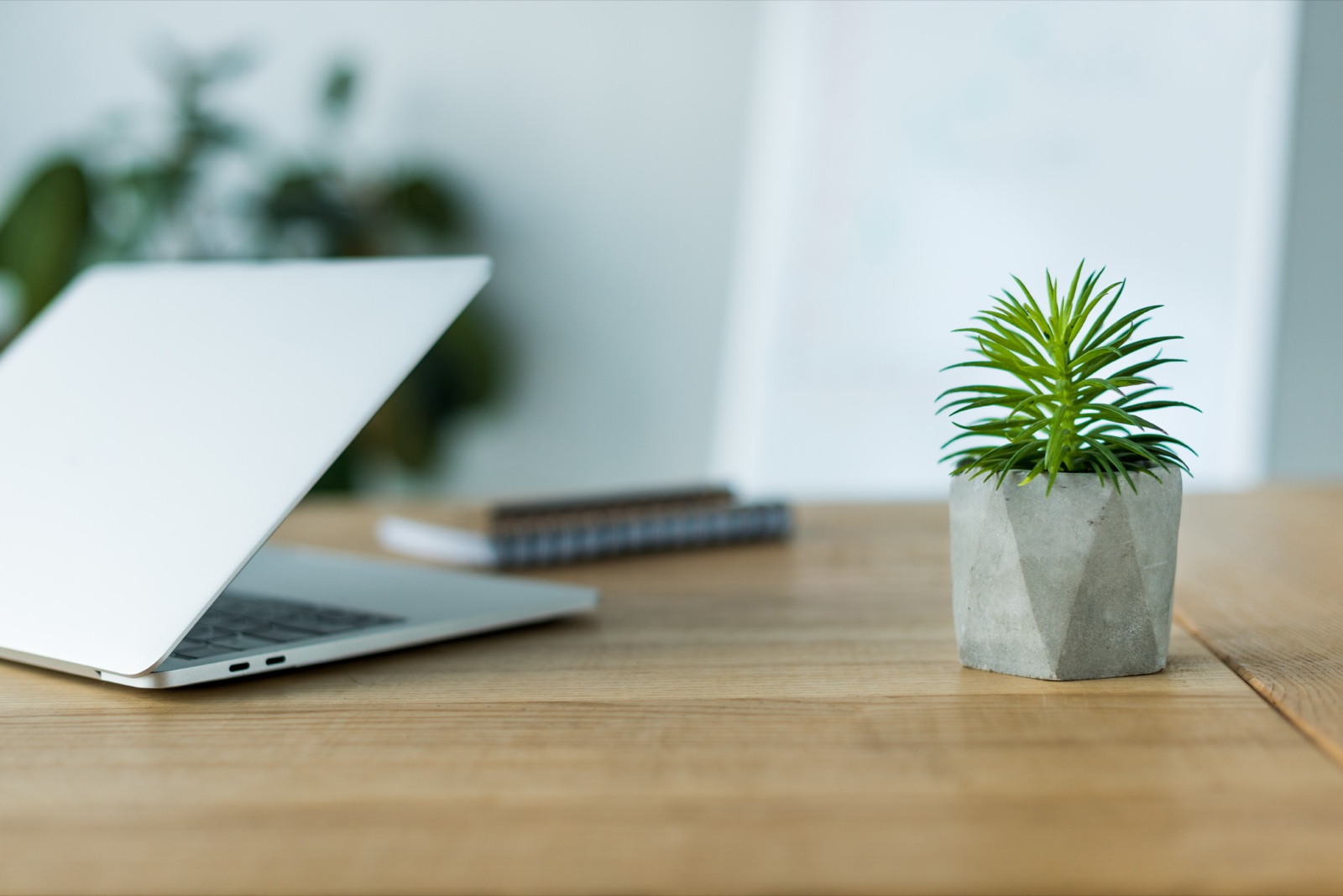 Postazione di lavoro in legno con pianta: materiali naturali e benessere in ufficio